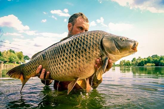 Jurnalul lui gor965: Hermes Peris Challenge ... Ole!